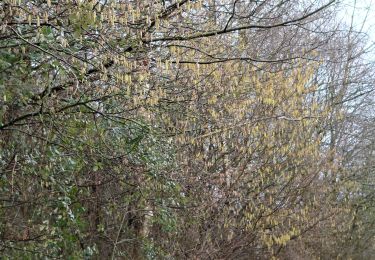 Tour Wandern Lüttich - Jupille Bois Sauvage Beyne Fayenbois  - Photo