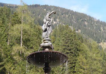 Tour Zu Fuß Bad Gastein - Böcksteiner Höhenweg - Photo