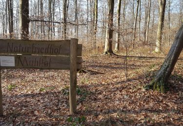 Percorso A piedi Ober-Ramstadt - Rundwanderweg Ober-Ramstadt Am Kuhfalltor 4: Buchwald-Weg - Photo