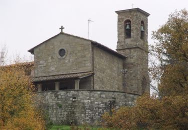 Tocht Te voet Sesto Fiorentino - Il Sentiero Delle Cime - 61 - Comune di Vaglia - Photo