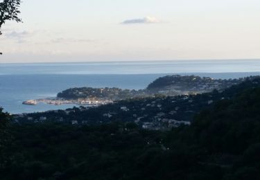 Percorso Marcia Cavalaire-sur-Mer - les terrasses  - Photo