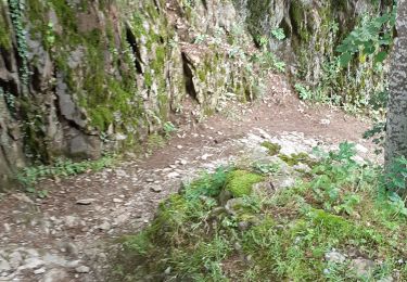 Trail Walking Beaufort - DESSOUS LE BIOLLAY - Photo