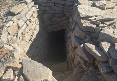 Randonnée Marche Poussan - Poussan les capitelles  - Photo
