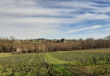 Tour Wandern Lansac - Boucle Lansac-Bourg - Photo