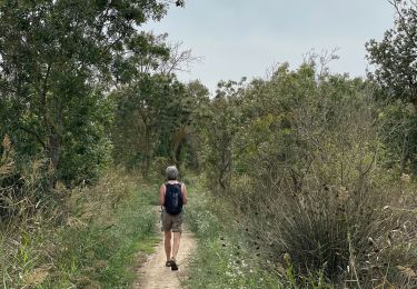 Tocht Stappen Sant Pere Pescador - El fluvio san père Pescador - Photo