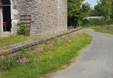 Trail Walking Chemillé-en-Anjou - chanzeaux  - Photo
