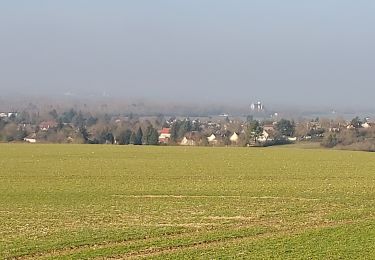 Tocht Stappen Courlon-sur-Yonne - Courlon 250216 - Photo