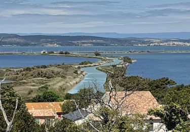 Trail Walking Port-la-Nouvelle - Rando ste Lucie - Photo