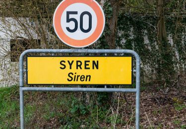 Tocht Te voet Contern - Natur-Kulturpad Conter-Syren - Photo
