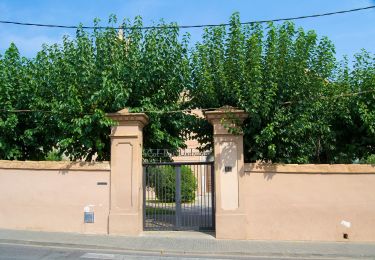 Tour Zu Fuß Palafrugell - SL-C 25 poblat ibèric de St. Sebastià de la Guàrdia - Photo