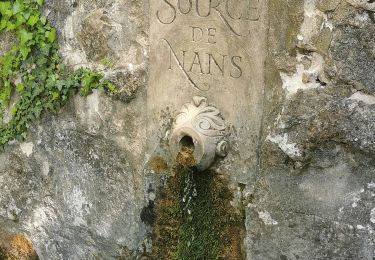 Trail Walking Plan-d'Aups-Sainte-Baume - Sainte baume  - Photo