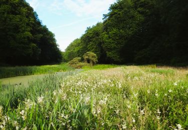 Tocht Stappen Hoeilaart - Varkensgat (Hoeilaart) - Rando courte - Photo