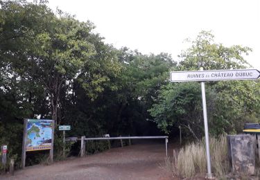 Tour Wandern La Trinité - Petite boucle de la Caravelle  - Photo