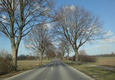 Randonnée A pied Kamen - Wanderweg O Kamen - Photo