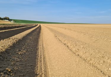 Tocht Stappen Homblières - homblières Fonsomme - Photo