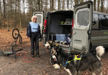 Tocht Sledehonden Belœil - Entre amis - Photo