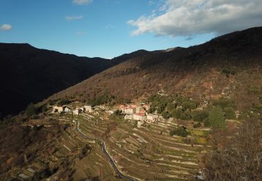 Excursión A pie Val-d'Aigoual - Favières /4 jasses /Puech Sigal /Favières - Photo