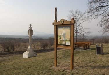 Trail On foot Velké Pavlovice - NS Zastavení v kraji vína a meruněk - Photo