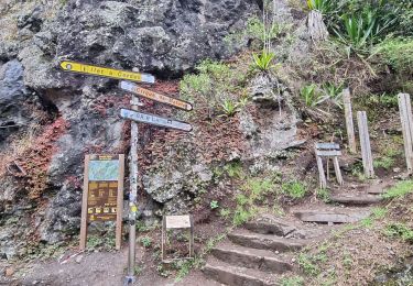 Excursión Senderismo La Possession - Jour 5 la Réunion  - Photo