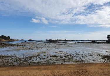 Randonnée Marche Île-de-Bréhat - Brehat - Photo