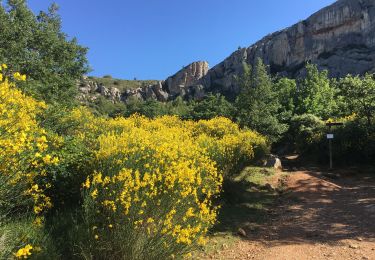 Tocht Stappen Saint-Antonin-sur-Bayon - Croix de Provence par Pas du Berger - Photo