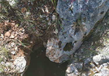 Tour Wandern Signes - siou blanc - Photo