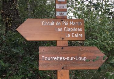 Tour Wandern Tourrettes-sur-Loup - Pie Martin - Photo