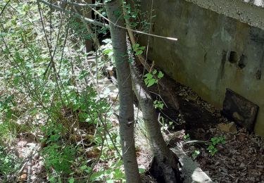 Trail Walking Marsanne - marsa4 - Photo