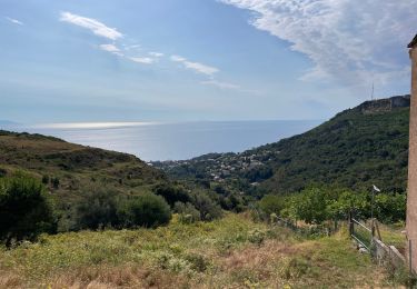 Tour Wandern Brando - Randonnée Castello vers Erbalunga - Photo