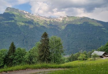 Trail Walking Samoëns - les chalets du Bémont et cascade du Nant d Ant - Photo