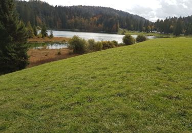 Randonnée Marche Échallon - Genin: tour du lac - Photo