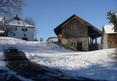 Randonnée A pied Stettfurt - Schloss Sonnenberg - Lommis - Thürn - Photo