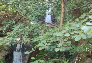 Tocht Stappen Isola - canyon du Bausset 20-08-2023 - Photo