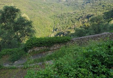 Randonnée Marche Saint-Cézaire-sur-Siagne - St cezaire - Photo