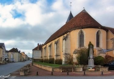 Percorso Marcia Berd'huis - Berd'huis - Nogent-le-Rotrou via Saint-Pierre-la-Bruyère 14 km - Photo