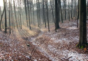 Trail Walking City of Brussels - GR126 - from Brussels Cathedral to Ransbeck - Photo