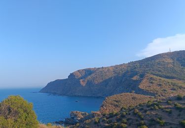 Tocht Stappen Banyuls-sur-Mer - cap del troc . coll de gran bau . cap réderis . retour par le chemin du littoral  - Photo
