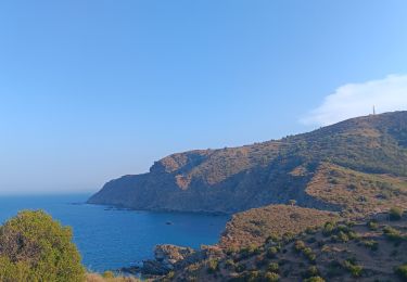 Trail Walking Banyuls-sur-Mer - cap del troc . coll de gran bau . cap réderis . retour par le chemin du littoral  - Photo