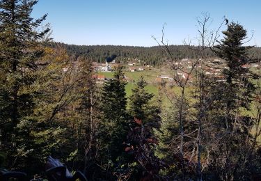 Trail Walking Grande-Rivière-Château - Prenovel:tour - Photo