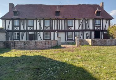 Excursión Senderismo Notre-Dame-de-Bliquetuit - Notre Dame de Bliquetuit vers l'Armada 18km -sans photos - Photo