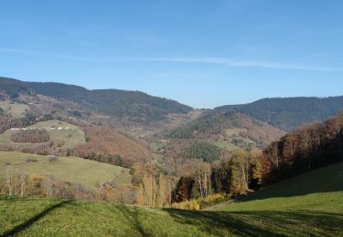 Tocht Mountainbike Fréland - Place Arthur - Photo