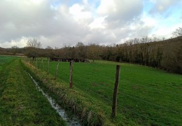 Trail Walking Essômes-sur-Marne - Essomes sur Marne du 12/02/2024 - Photo