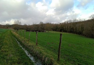 Tocht Stappen Essômes-sur-Marne - Essomes sur Marne du 12/02/2024 - Photo