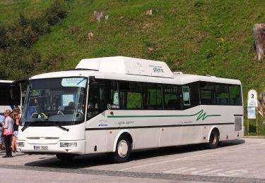 Randonnée A pied Pec pod Sněžkou - [Ž] Lesní bouda - Pec pod Sněžkou - Photo