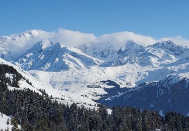 Tocht Stappen Villard-sur-Doron - les saisies patafan 483m15.6kms - Photo