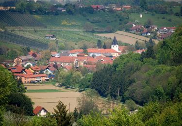 Excursión A pie Gamlitz - Gamlitz-Gaberhöhe-Steinbach - Photo