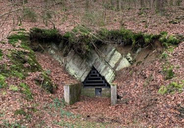 Excursión Senderismo Bouillon - Alle Langs Semois en terug door bos - Photo