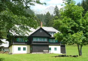 Percorso A piedi Tragöß-Sankt Katharein - Wanderweg Thalerkogel - Photo