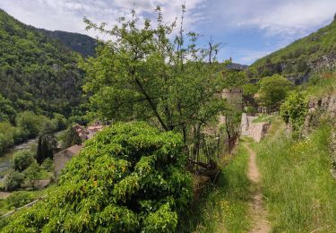 Randonnée Marche La Roque-Sainte-Marguerite - Roquesalte depuis la roque st marguerite - Photo