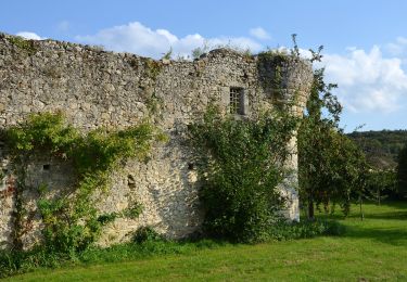 Tocht Te voet Villemer - Maquis de Roys - Photo